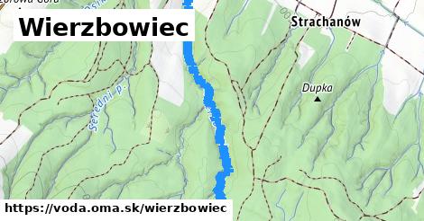 Wierzbowiec