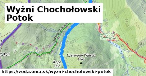 Wyżni Chochołowski Potok