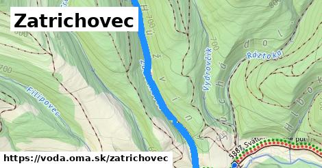 Zatrichovec