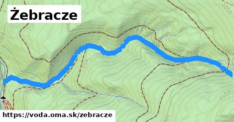 Żebracze