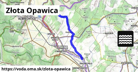 Złota Opawica