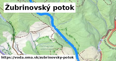 Žubrinovský potok