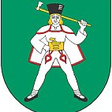 Gmina Kamienica podla wikipedie