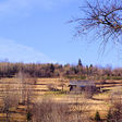  podla wikipedie