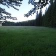  podla wikipedie