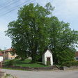  podla wikipedie