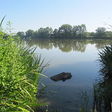  podla wikipedie