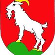 Velké Karlovice podla wikipedie