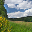 Skelná Huť (prírodná rezervácia) podla wikipedie